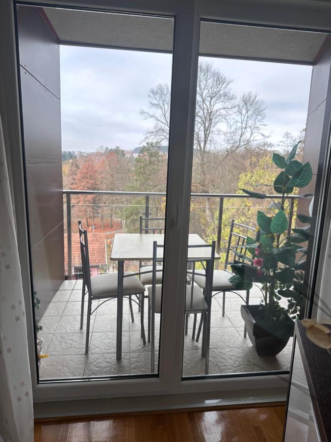 Apartman Floresta - In Front Of Japanese Garden, Enchanting Nature View, Spotless And Cozy Vrnjačka Banja Eksteriør bilde